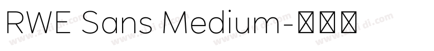 RWE Sans Medium字体转换 RWE Sans Medium字体转换